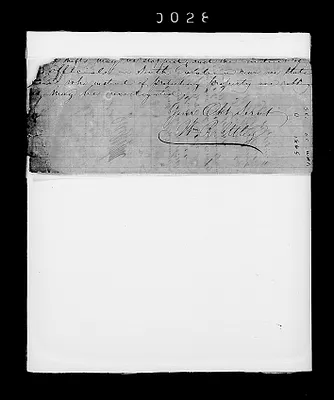 p. 31