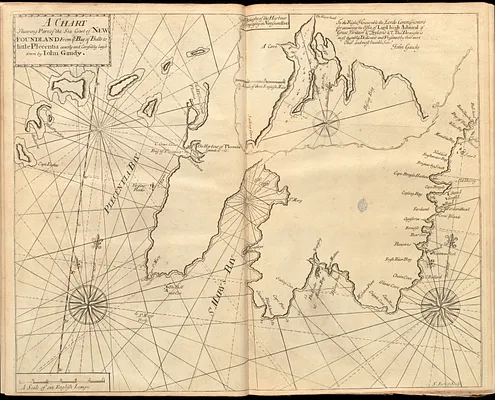 A chart shewing part of the sea coast of Newfoundland from ye Bay of Bulls to little Plecentia