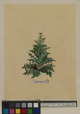 p. 2