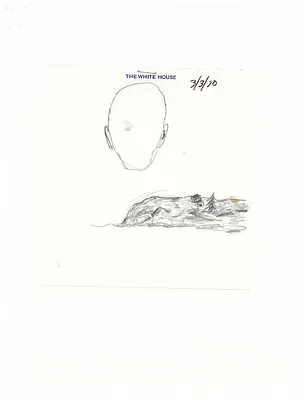 p. 46