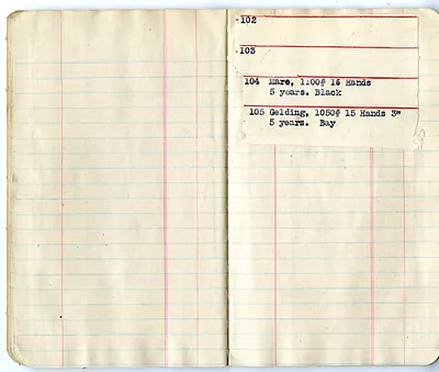 p. 13