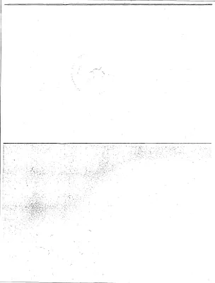 p. 53