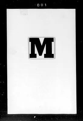 p. 4