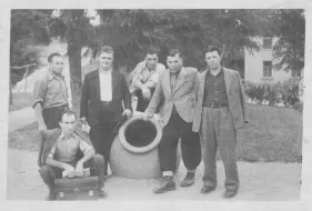 BVA 313