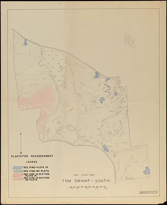 Plantation reassessment, Tom Swamp South 1947