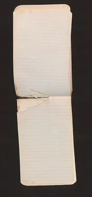 p. 24