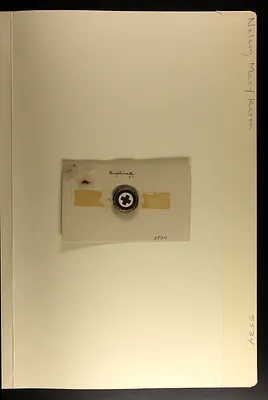 p. 6
