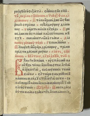 p. 23