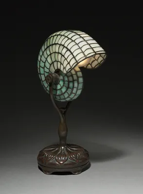 Nautilus Reading Lamp