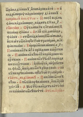 p. 43