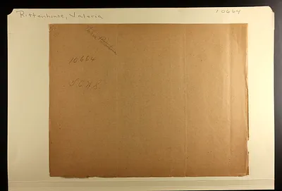 p. 31