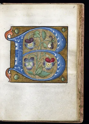 Leaf from Alphabet Book