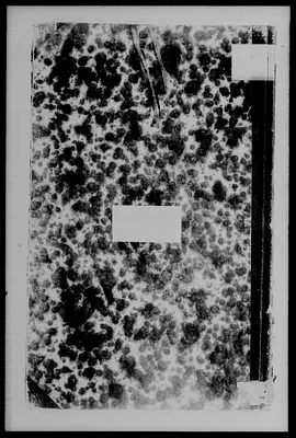 p. 18