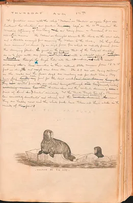 p. 52