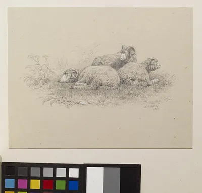p. 3