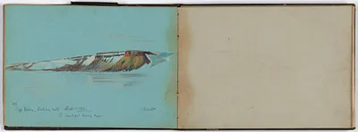 p. 7
