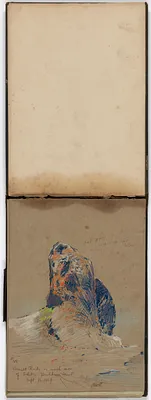 p. 4