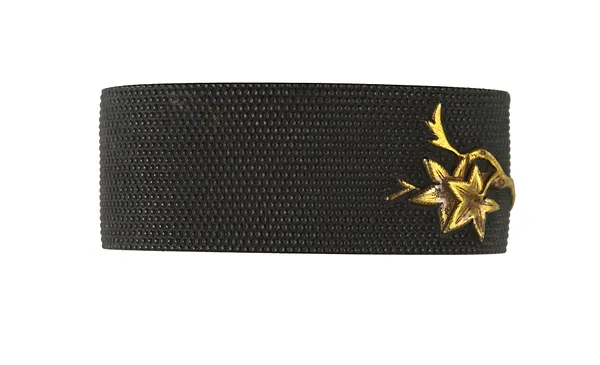 Fuchi with Curtain near a Maple Tree