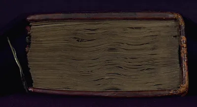 p. 7