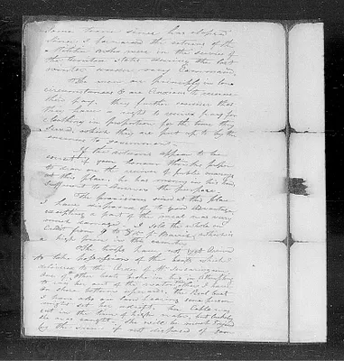 p. 7
