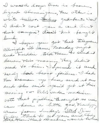 p. 3