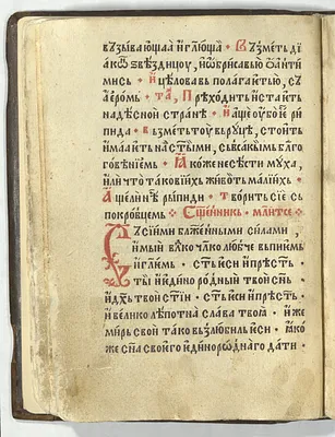 p. 50