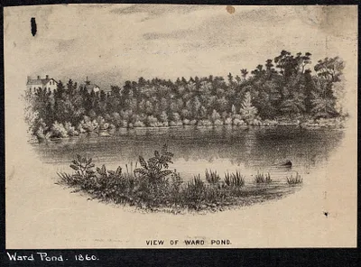 Ward Pond