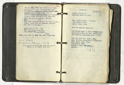 p. 19