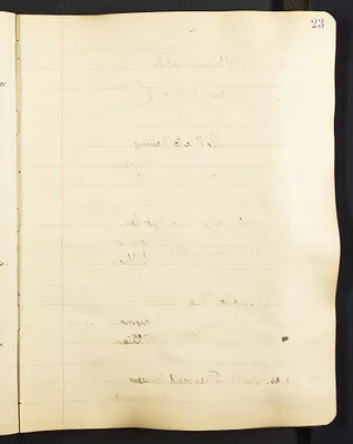 p. 24