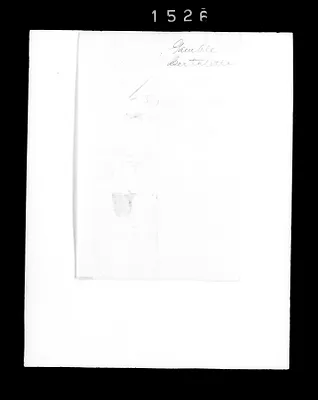 p. 37