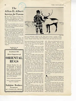 p. 13