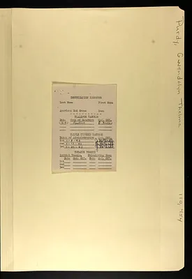 p. 29