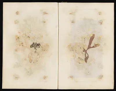 p. 50