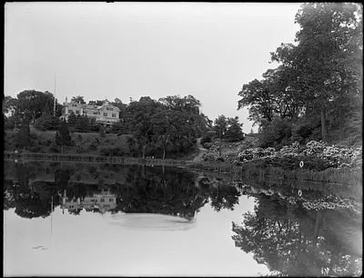 Ward's Pond