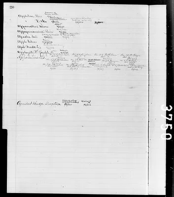 p. 19