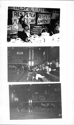 p. 30