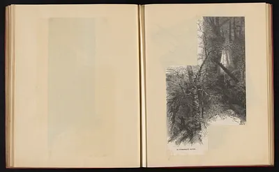 p. 46