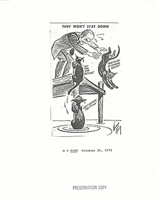 p. 52