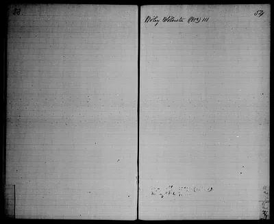 p. 21