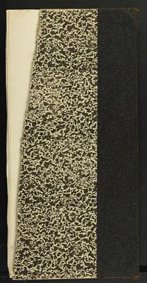 p. 53