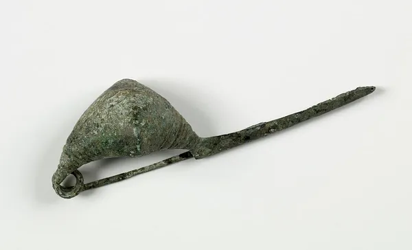 Fibula