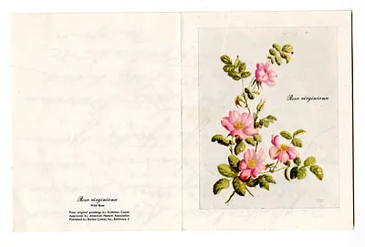 p. 2