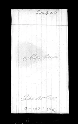 p. 42