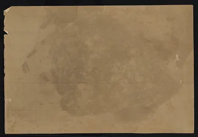 p. 14
