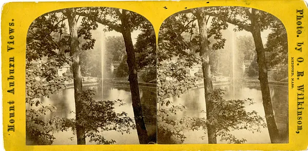 Mount Auburn views