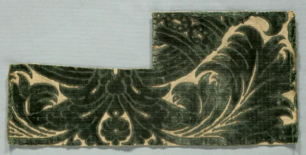 Velvet Fragment