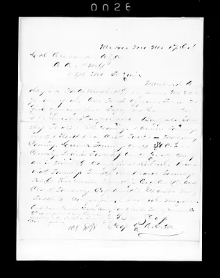 p. 31