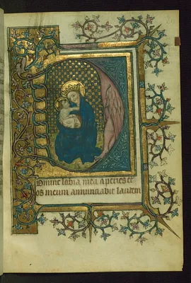 p. 7