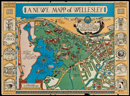 A newe mapp of Wellesley