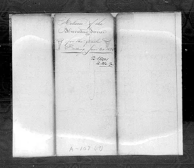 p. 24